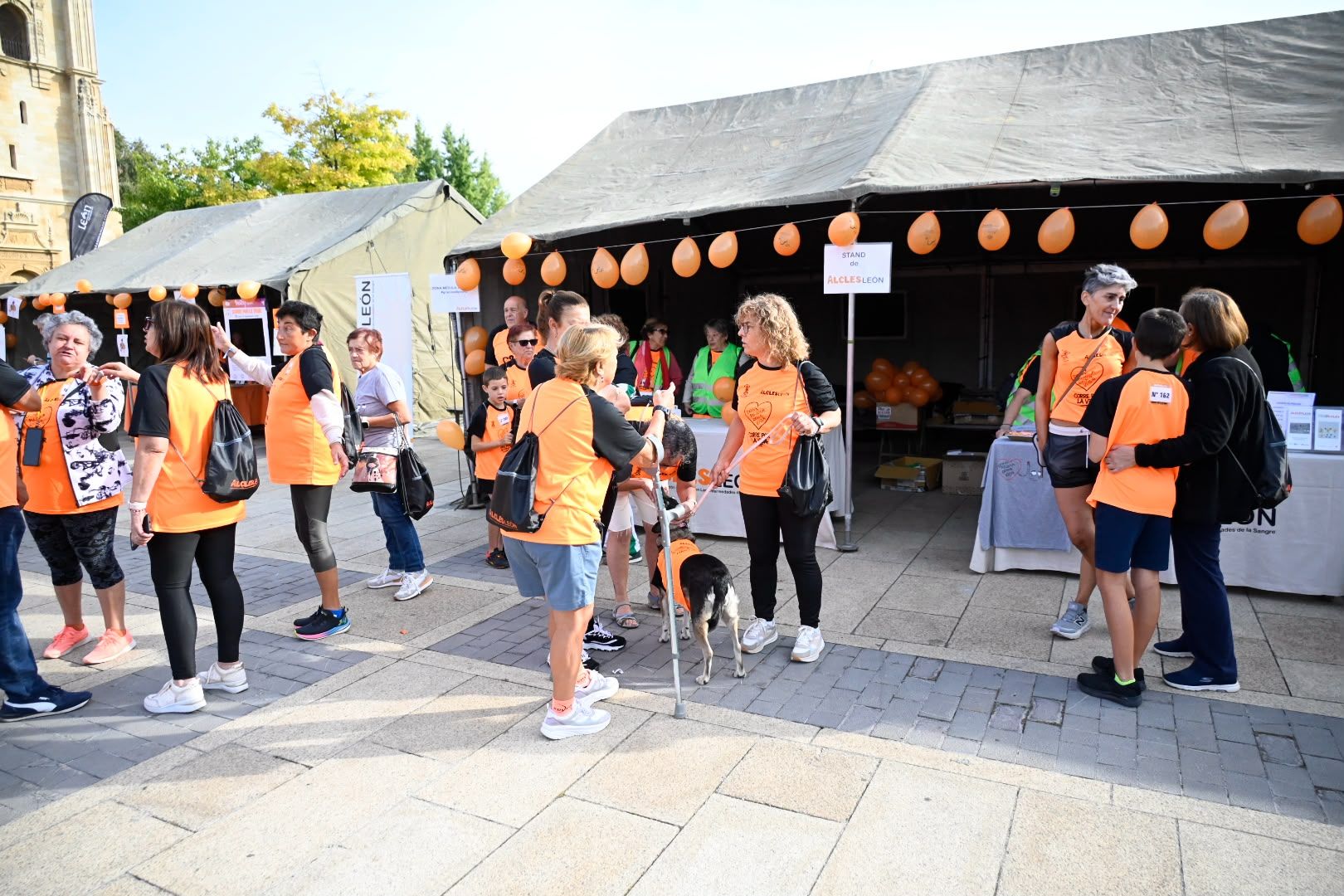 Las imágenes de la XII carrera solidaria ‘Corre por la Vida’ de Alcles 