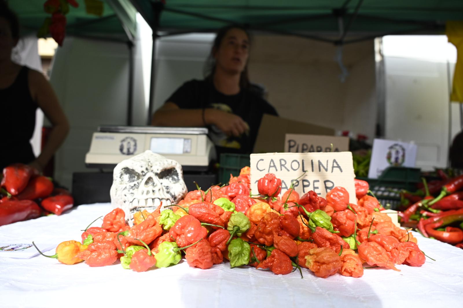 La Feria del Pimiento Morrón de Fresno de la Vega, en imágenes 