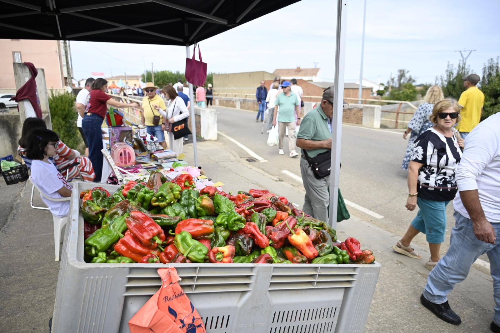 La Feria del Pimiento Morrón de Fresno de la Vega, en imágenes 