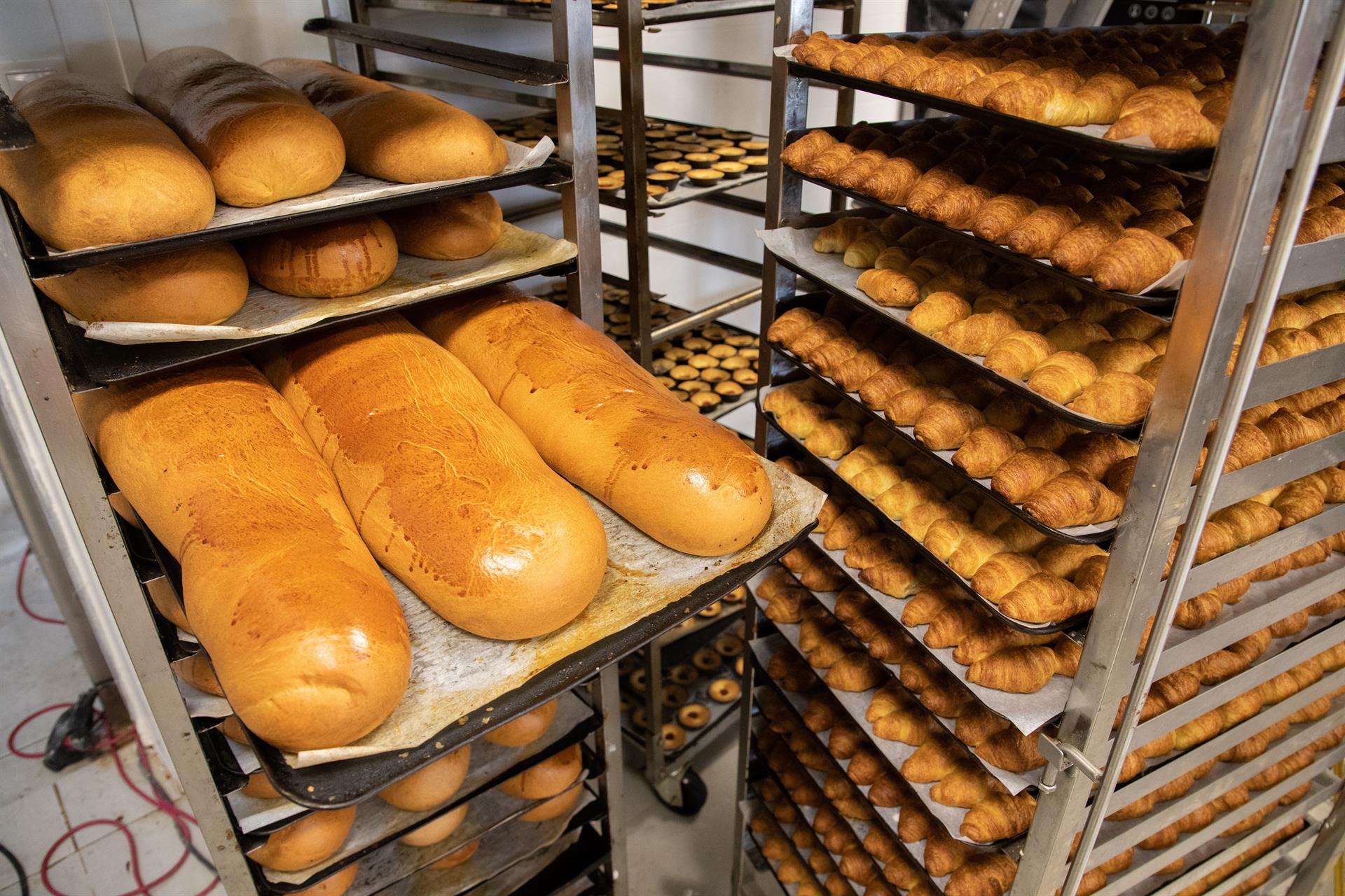 CCOO Industria de León ha firmado el nuevo Convenio Colectivo de la Industria de Fabricación y Venta de Panadería con una vigencia de cuatro años. CCOO Industria de León ha firmado el nuevo Convenio Colectivo de la Industria de Fabricación y Venta de Panadería con una vigencia de cuatro años.