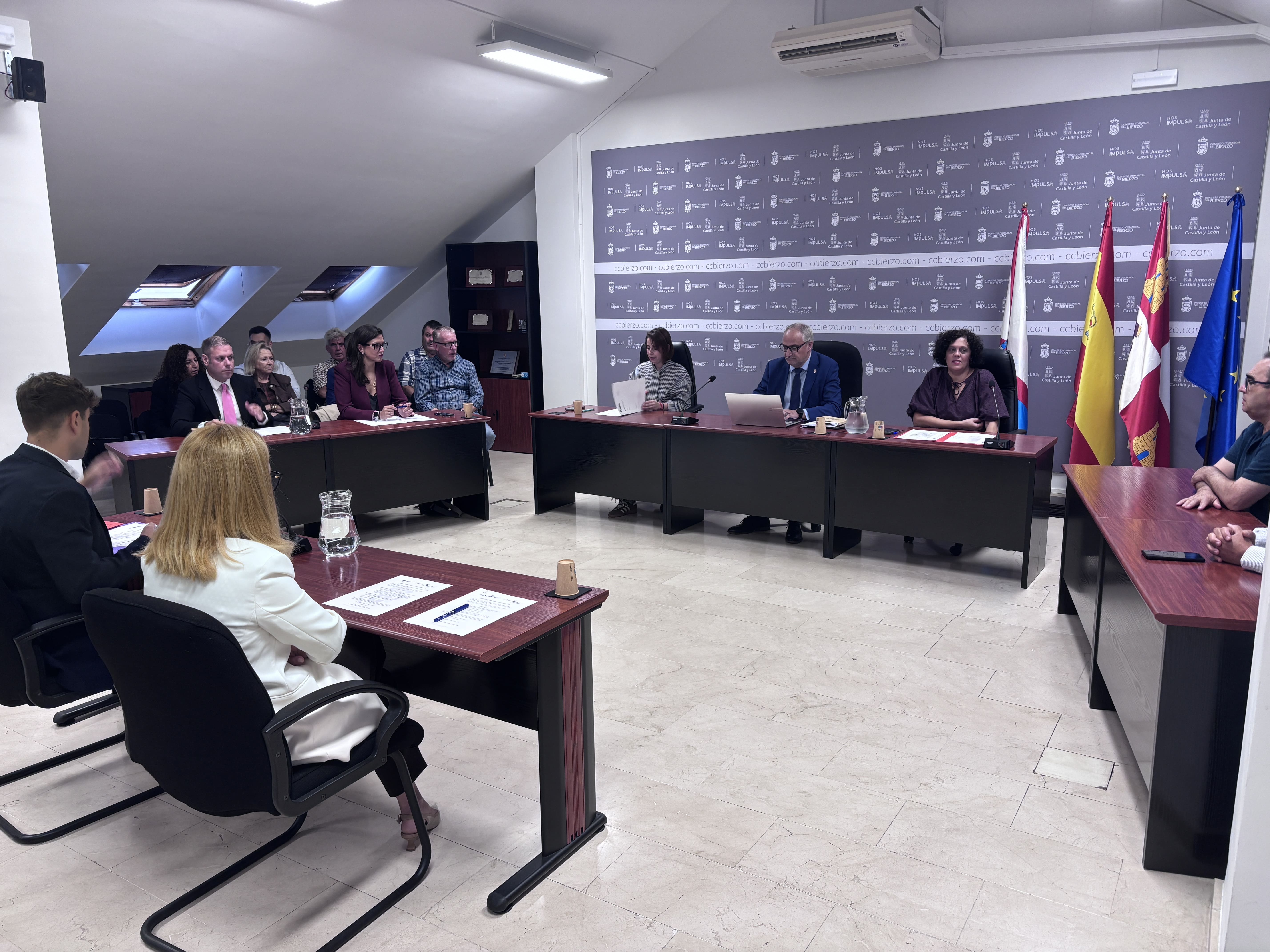 Pleno del Consejo Comarcal del Bierzo celebrado este martes. | JAVIER FERNÁNDEZ