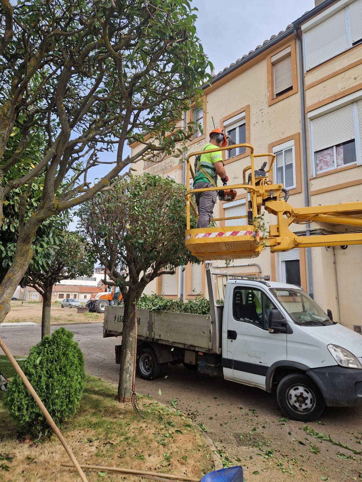 Labores de poda en una de las zonas verdes de Astorga. | L.N.C. Labores de poda en una de las zonas verdes de Astorga. | L.N.C.