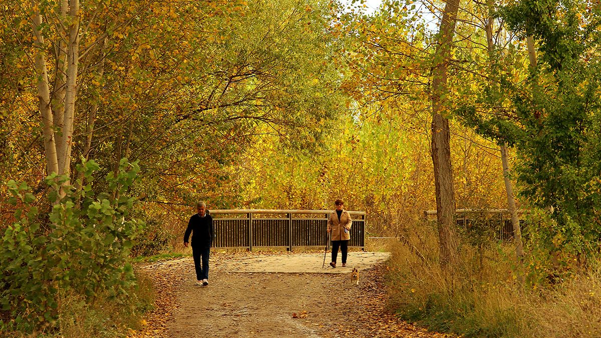 Otoño en el Bierzo. | CÉSAR SÁNCHEZ (ICAL)
