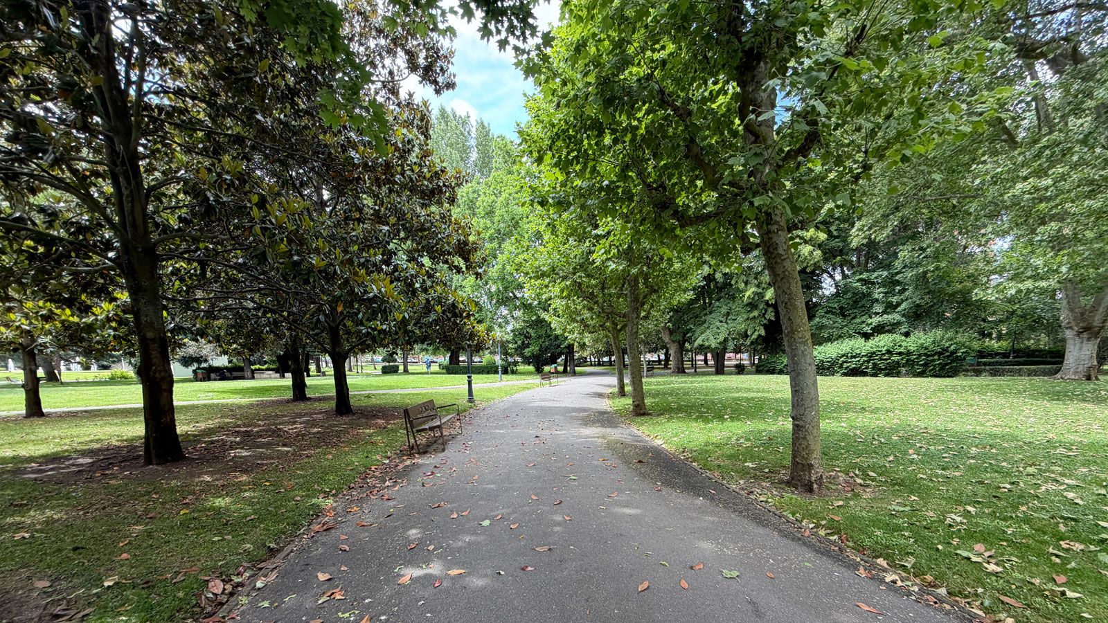 Habitado por varias decenas de especies vegetales, el Parque de Quevedo abandera su ‘Green flag’ desde el año 2019. | SAÚL ARÉN