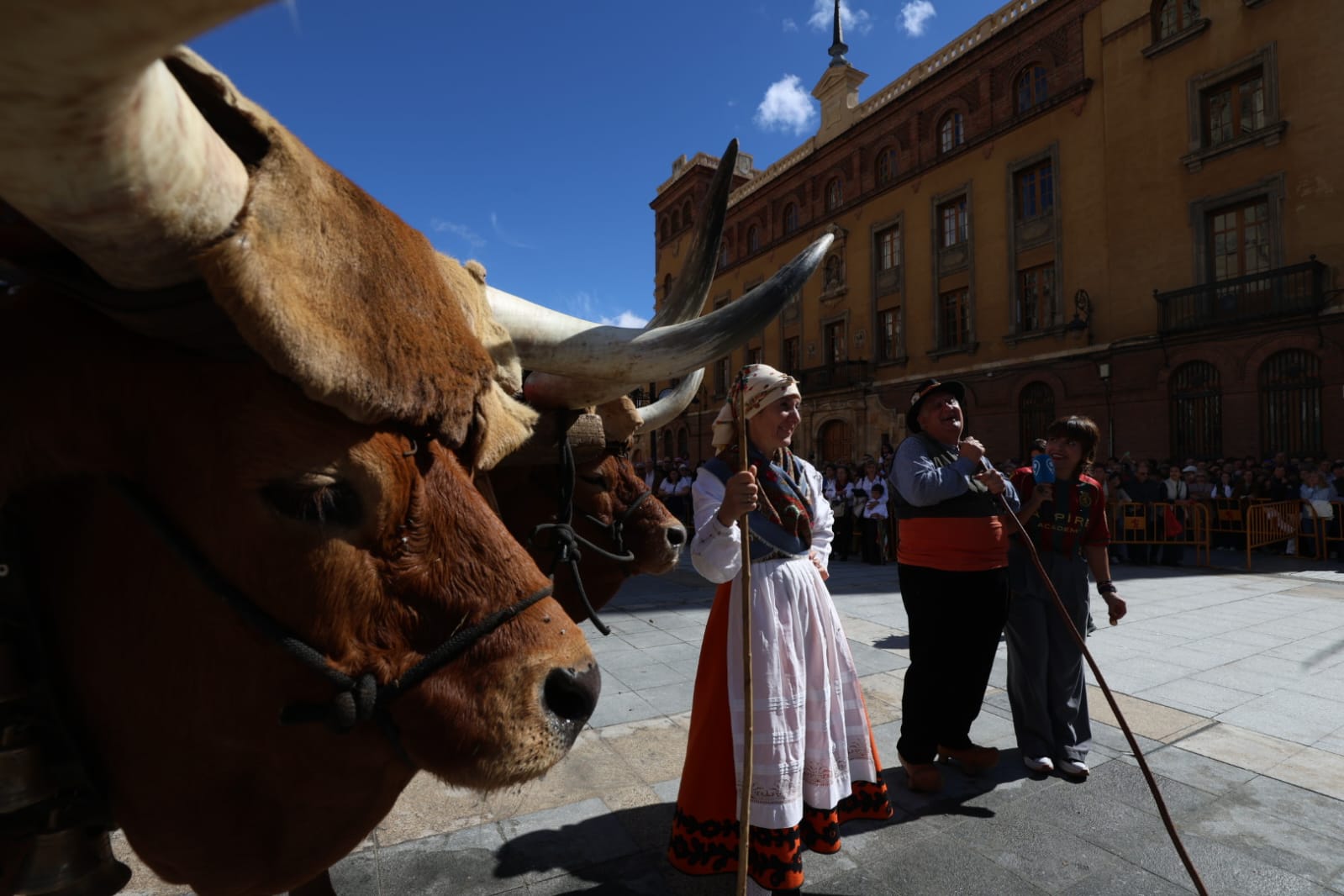 El Desfile de carros engalanados San Froilán 2026, en imágenes