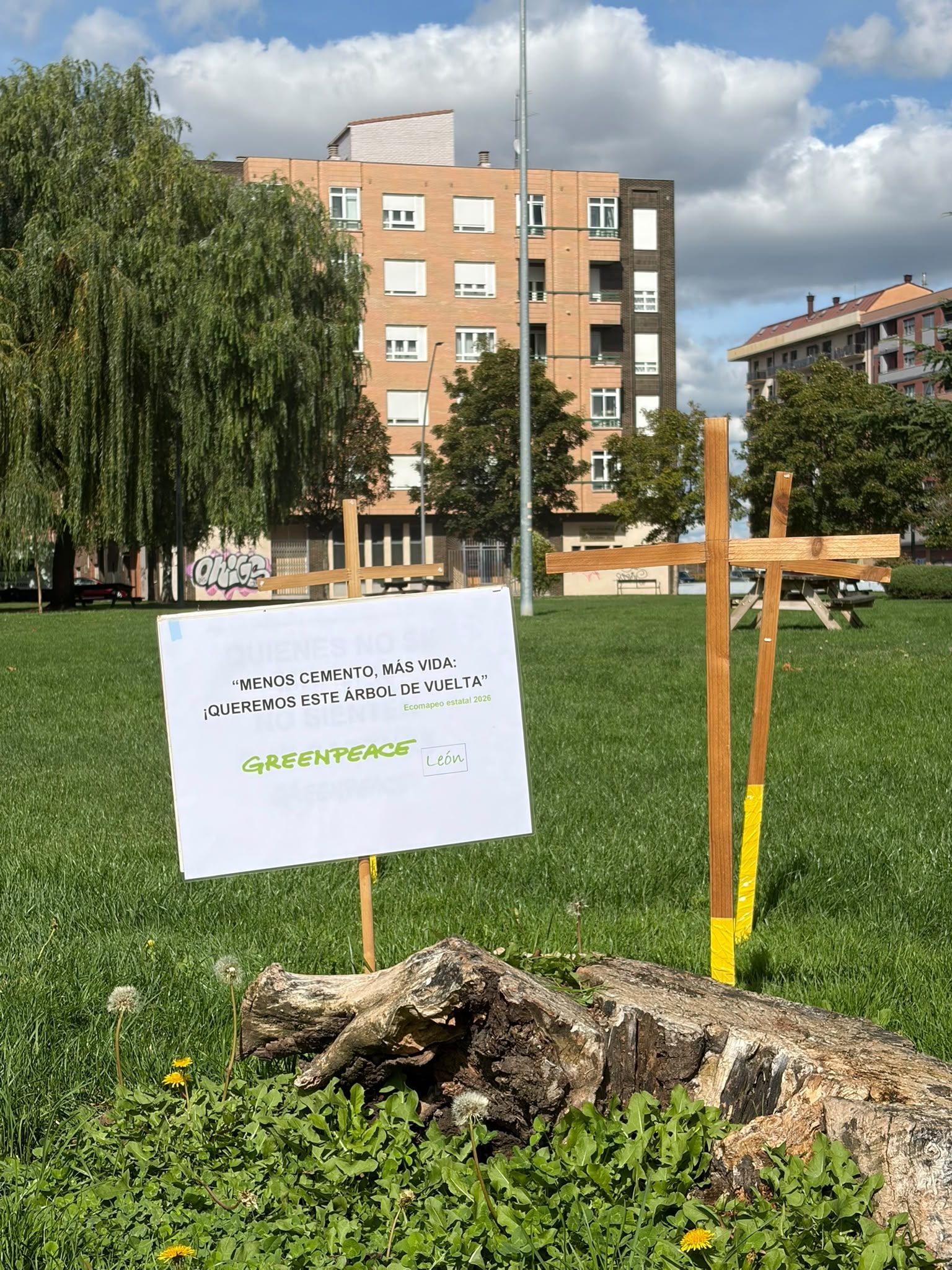 Greenpeace León ha reclamado al ayuntamiento medidas para “ampliar y cuidar la cobertura arbórea” en la ciudad. | GREENPEACE LEÓN