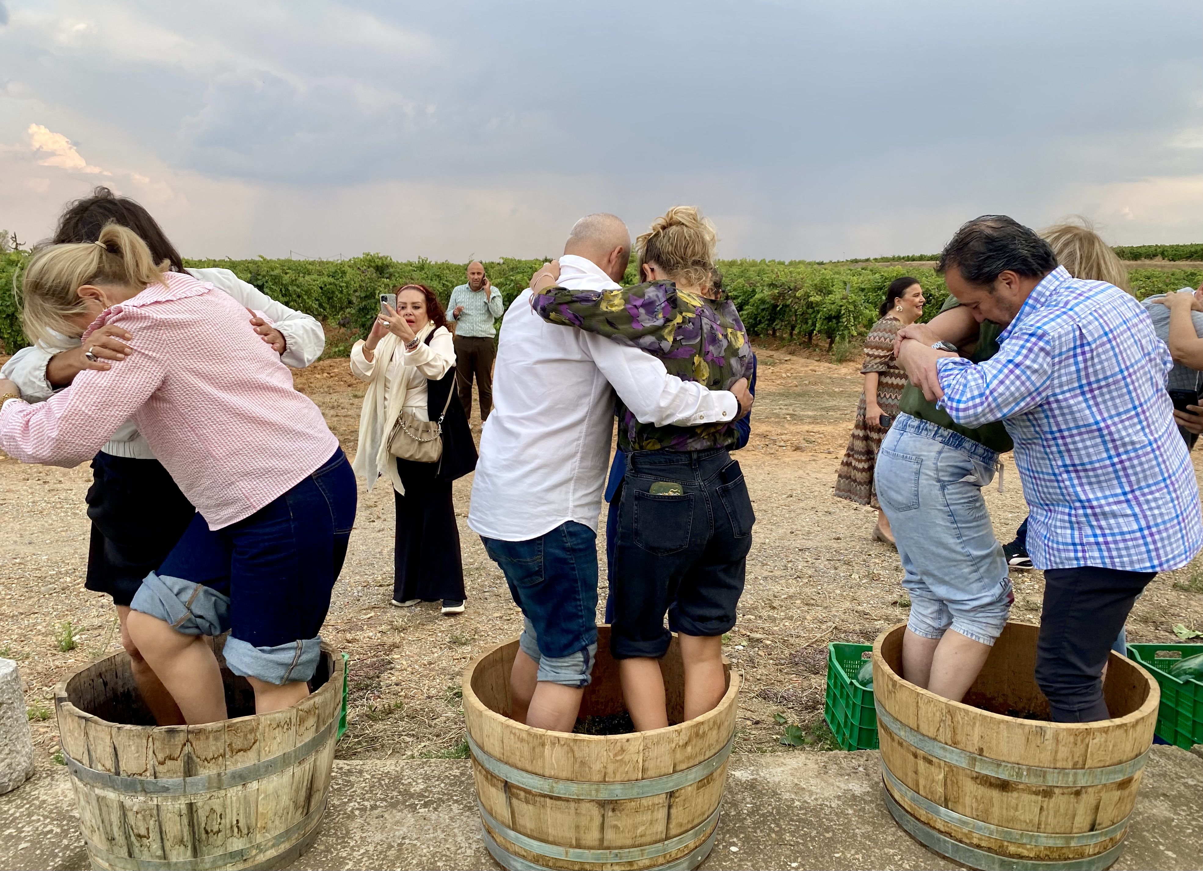 Enoturistas pisando uva en el viñedo de una bodega de la DO León. | L.N.C. Enoturistas pisando uva en el viñedo de una bodega de la DO León. | L.N.C.