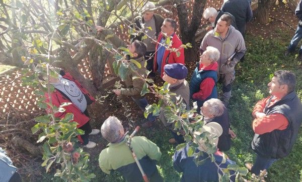 Alumnos de un curso anterior de poda de frutales. | L.N.C.