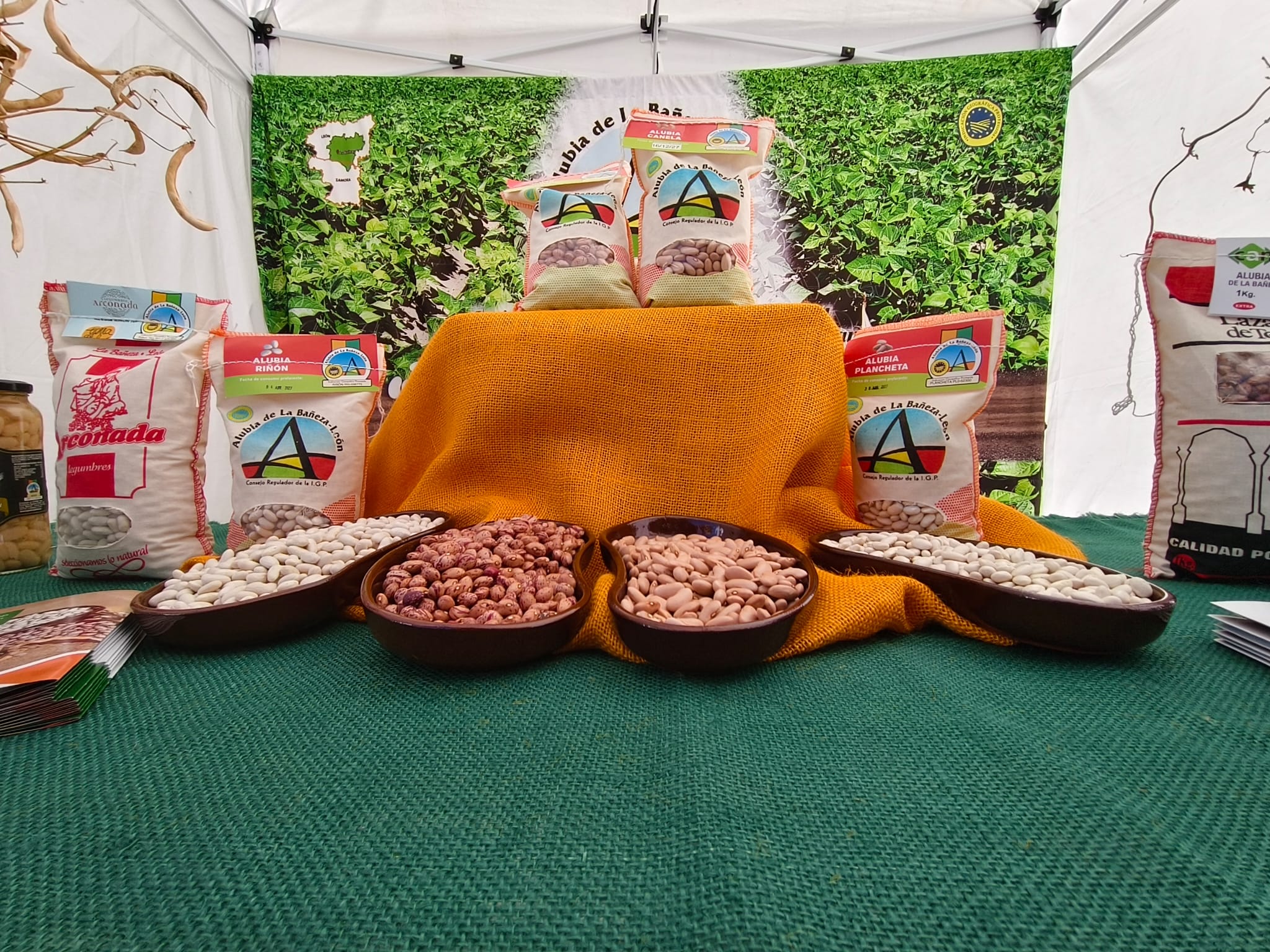 Muestra de las alubias de la IGP Alubia La Bañeza-León en una feria. | A. RODRÍGUEZ