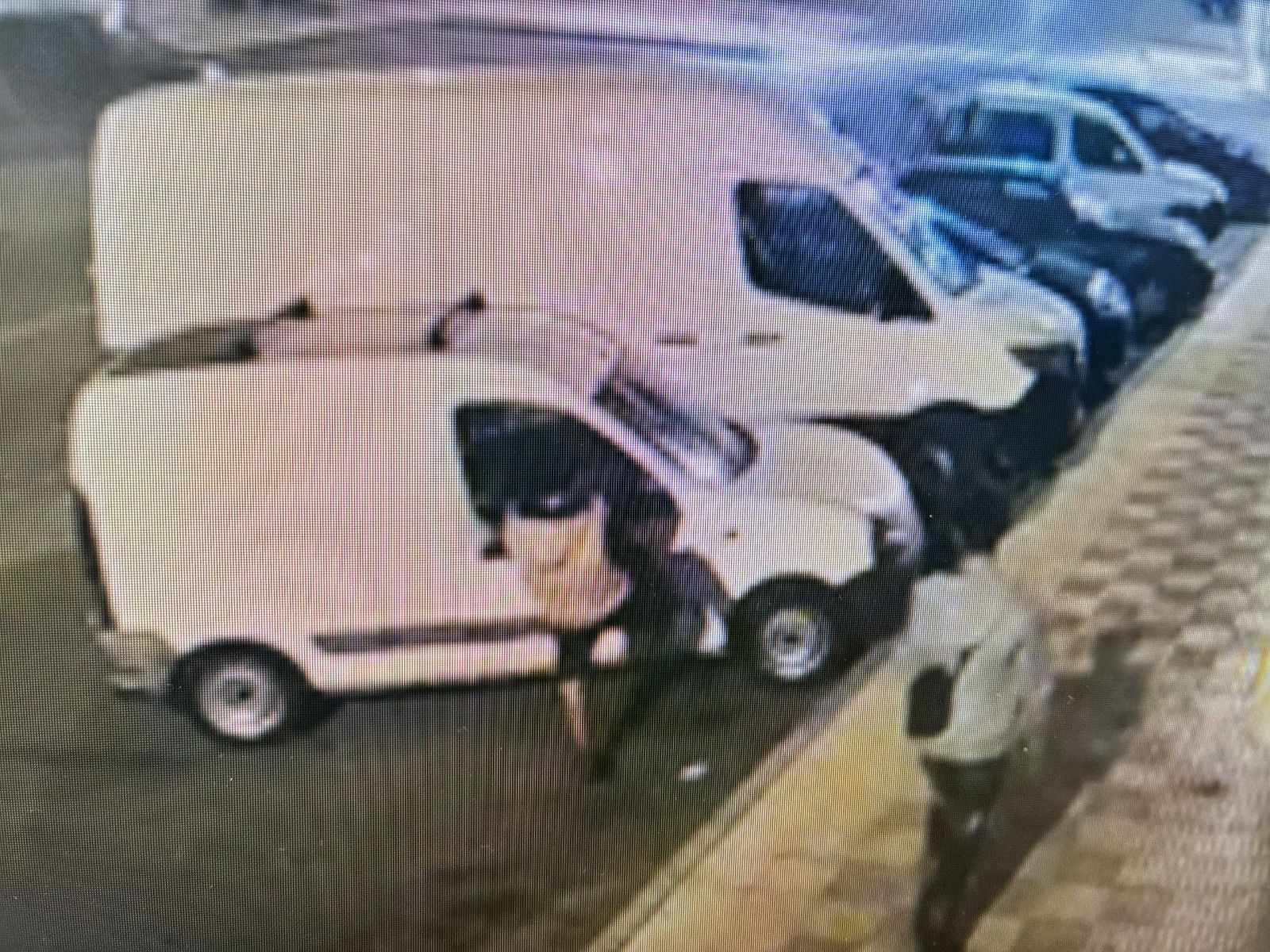daños vehículos villaquilambre detenido (2)