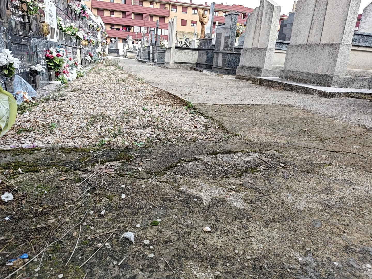 Comienzan las obras de mejora del cementerio de San Andrés. | L.N.C. Comienzan las obras de mejora del cementerio de San Andrés. | L.N.C.