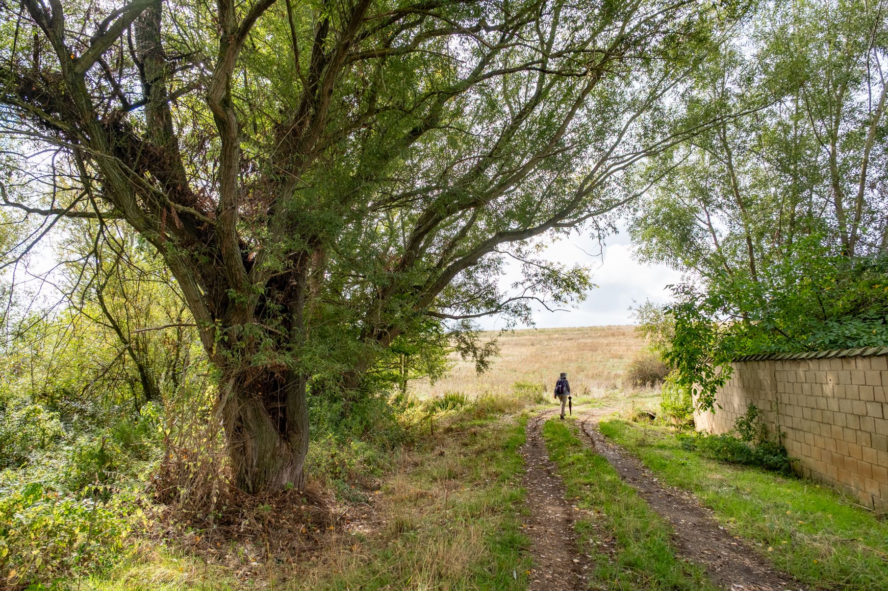 Pasando el arroyo Carcavón tras salir de Valdefresno. | VICENTE GARCÍA