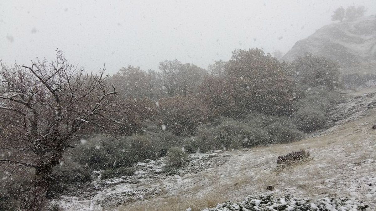Nevando durante la jornada de este domingo en la localidad de Redipollos. | CARLOS ÁLVAREZ