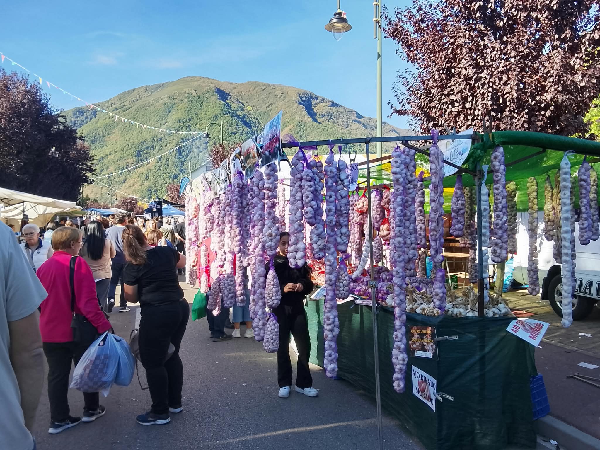 La Feriona toma Villablino. | ESTEFANÍA NIÑO
