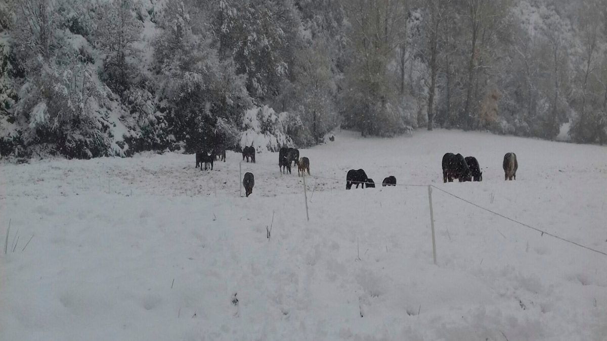 Paisaje nevado en Redipollos este lunes. | JESÚS MATA