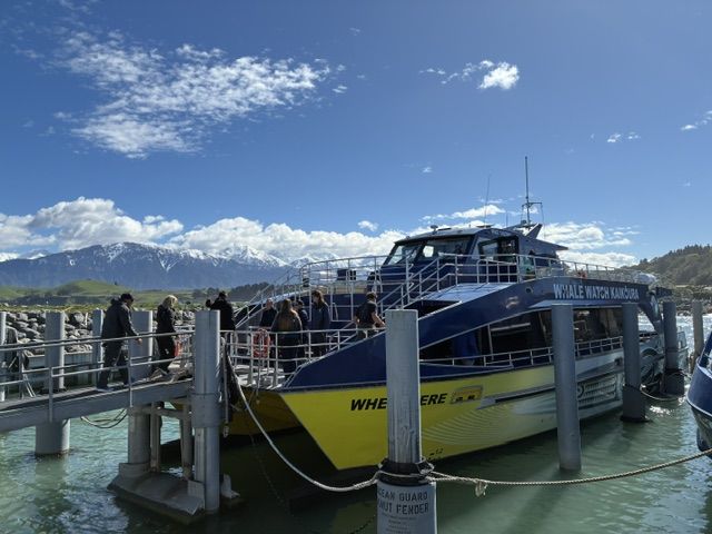Excursiones para ver ballenas. | L.N.C. Excursiones para ver ballenas. | L.N.C.
