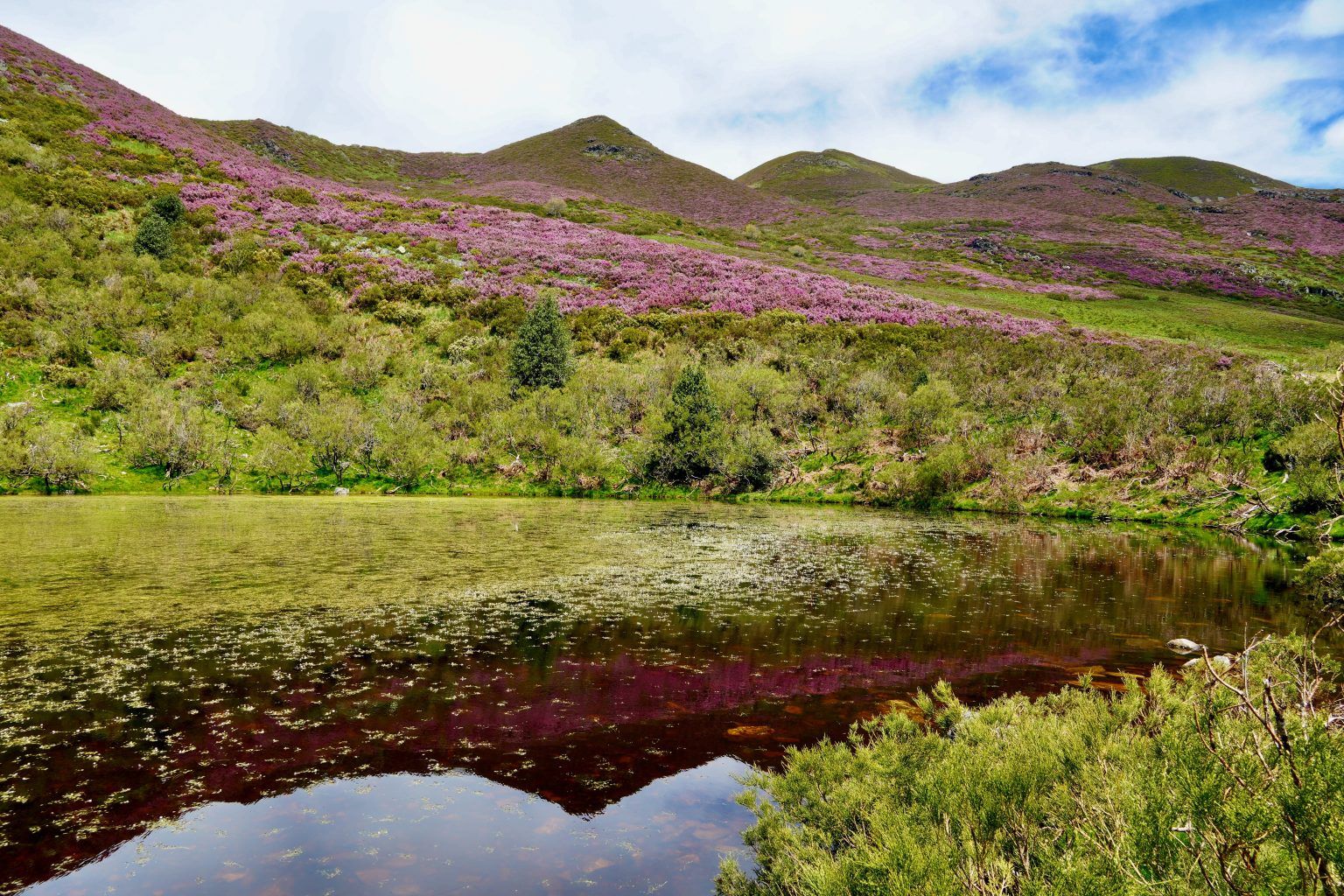 Laguna de As Charcas, de Evaristo Castedo, primer premio del concurso.