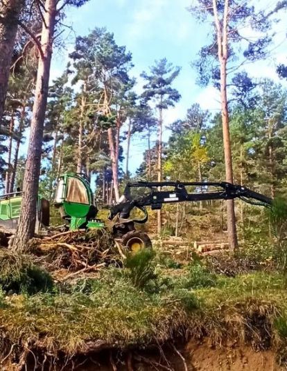 La denuncia de ha difundido en redes sociales y acompañada de fotografías y vídeos sobre la intervención forestal en el pinar de Piedrafita. BABIA TRAIL TRAIL FACEBOOK (1) La denuncia de ha difundido en redes sociales y acompañada de fotografías y vídeos sobre la intervención forestal en el pinar de Piedrafita. BABIA TRAIL TRAIL FACEBOOK (1)