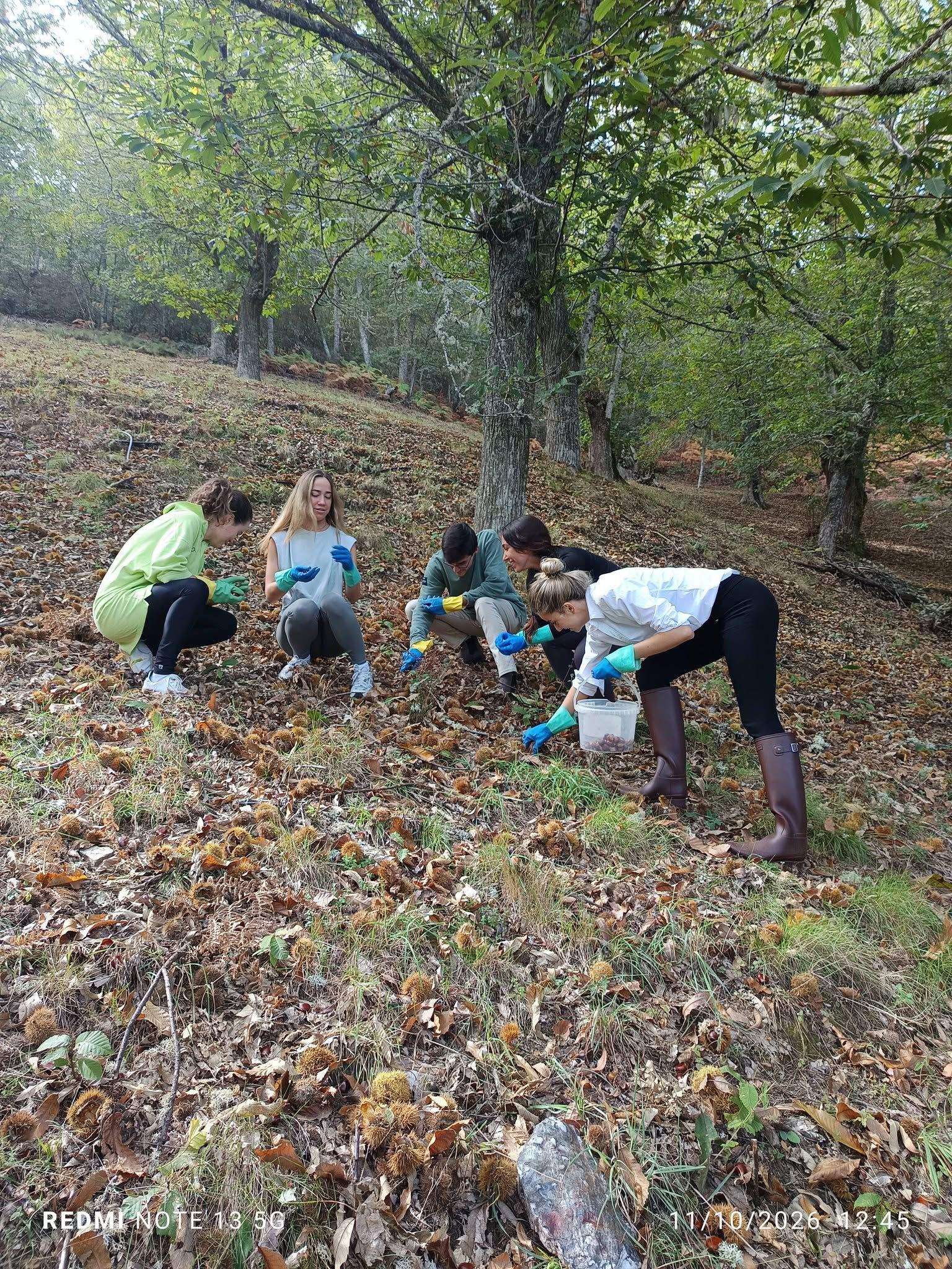Jóvenes de Gijón y de Madrid en El Bierzo probando el mundo de la castaña.