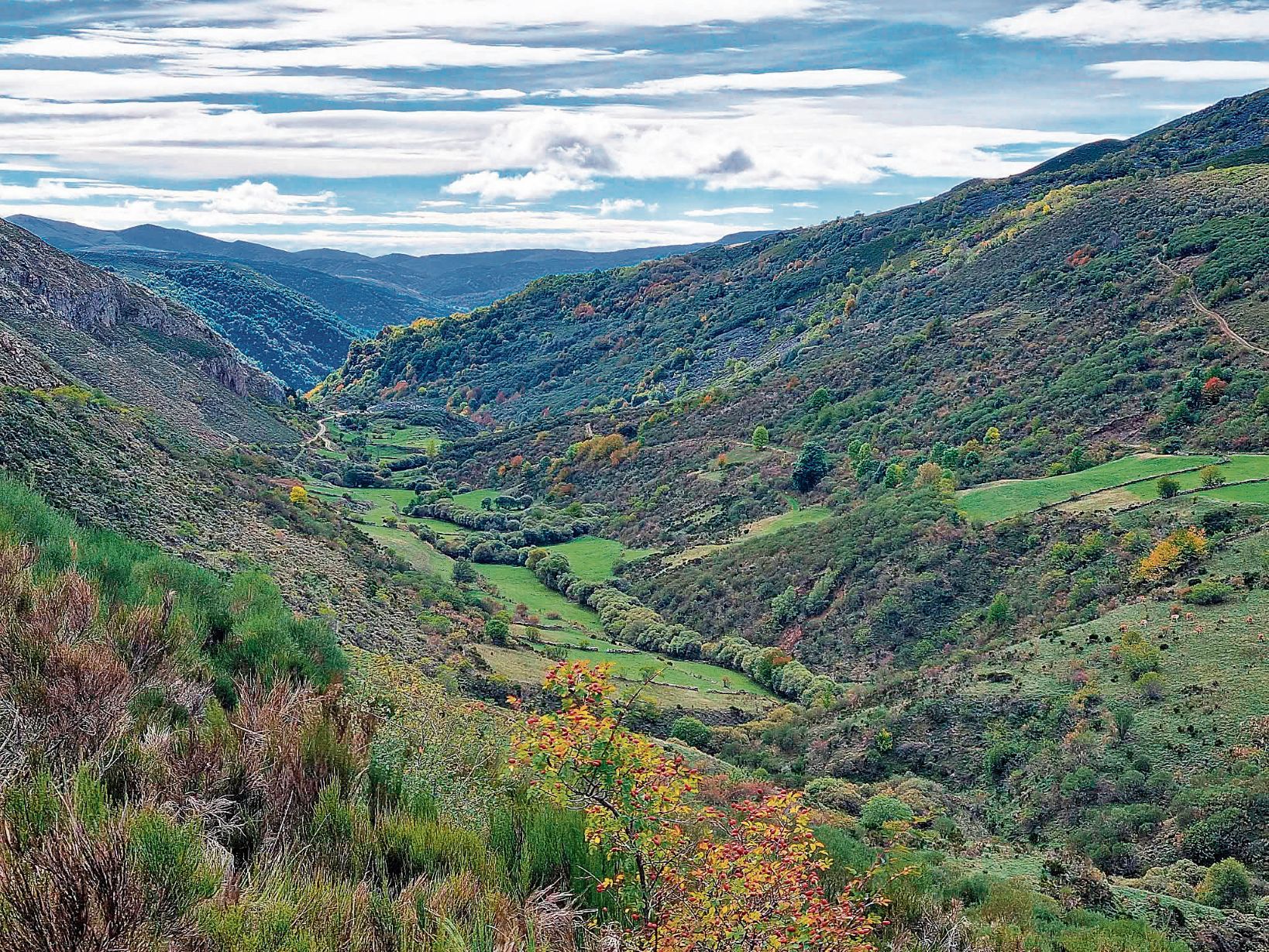 Laciana despliega sus encantos entre bosques y montañas. | TURISMO VALLE LACIANA Laciana despliega sus encantos entre bosques y montañas. | TURISMO VALLE LACIANA