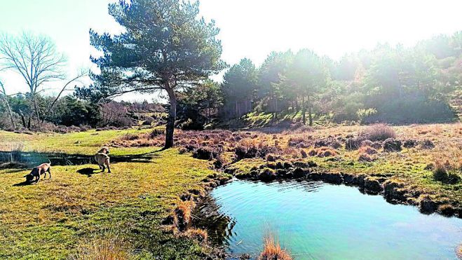 Senderos entre bosques y miradores para disfrutar del entorno natural. VICENTE GARCÍA Senderos entre bosques y miradores para disfrutar del entorno natural. VICENTE GARCÍA