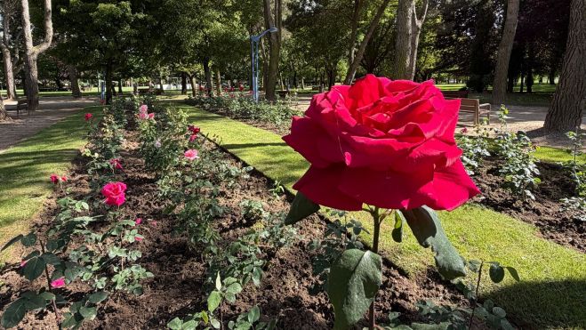 Los parterres de flores acompañan a las muchas muestras de arbolado. SAÚL ARÉN