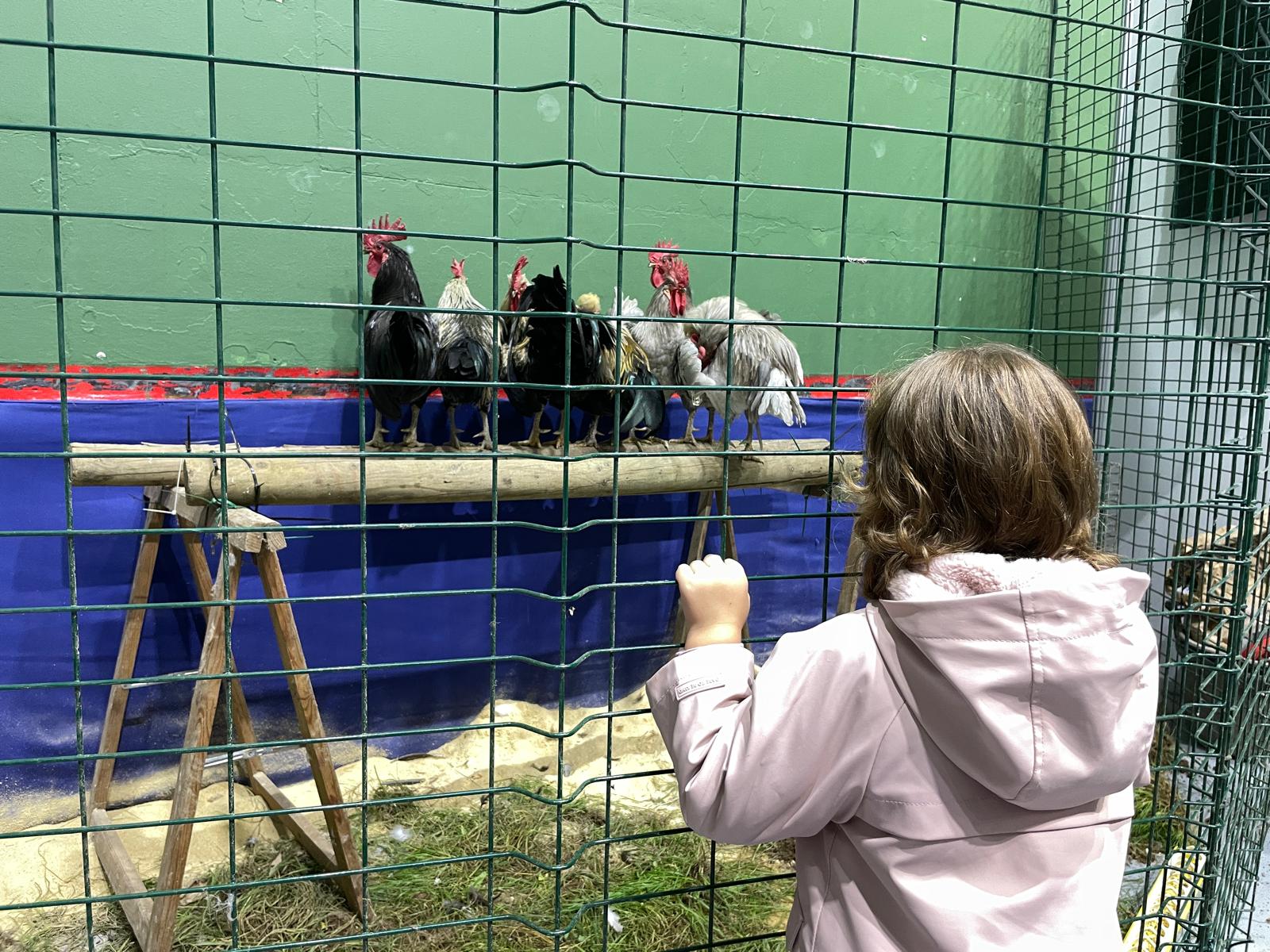Feria de Caza, Pesca y Naturaleza de Valencia de Don Juan. | LAURA PASTORIZA