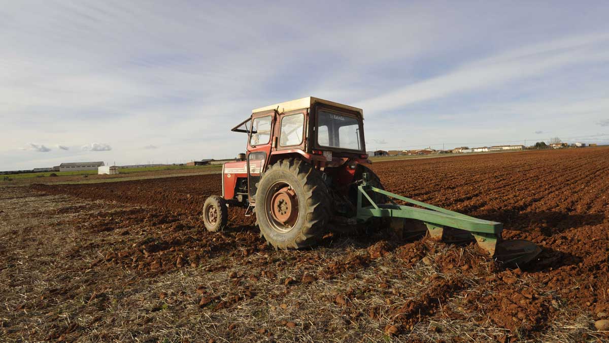 Imagen de archivo de una agricultor arando en un finca del sur de la provincia en el pasado invierno. | DANIEL MARTÍN