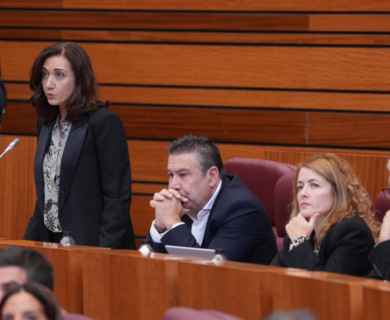 La portavoz de UPL en las Cortes de Castilla y León, Alicia Gallego. | L.N.C. La portavoz de UPL en las Cortes de Castilla y León, Alicia Gallego. | L.N.C.