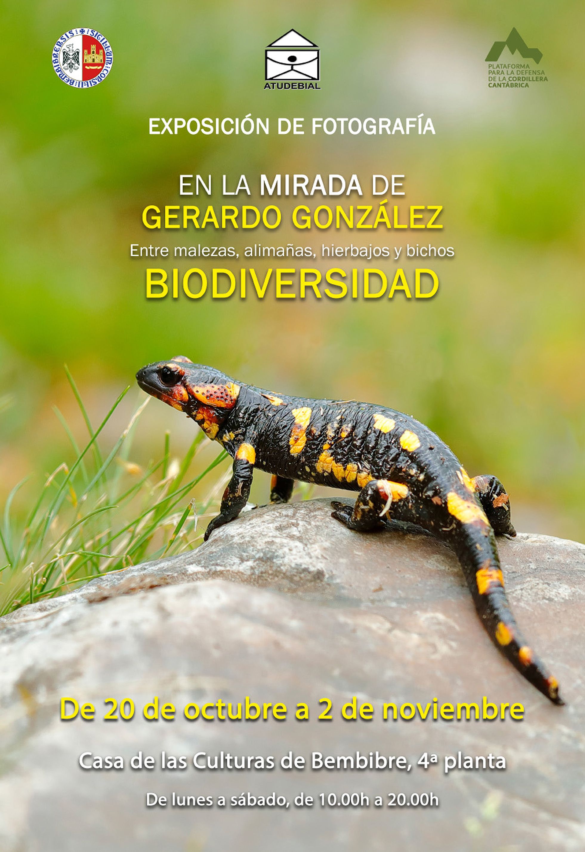 Cartel de la exposición.
