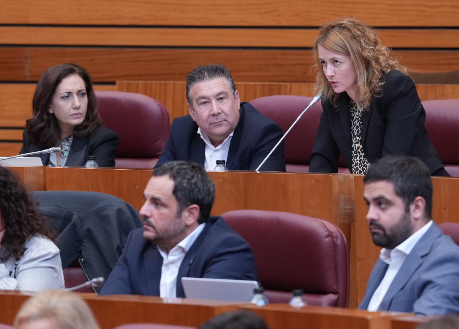 La procuradora de UPL, Rosa Quintanilla en las Cortes.
