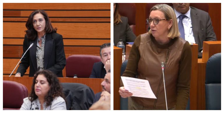 La portavoz de UPL en las CCyL, Alicia Gallego; y la vicepresidenta segunda de la Junta, Isabel Blanco. | L.N.C.
