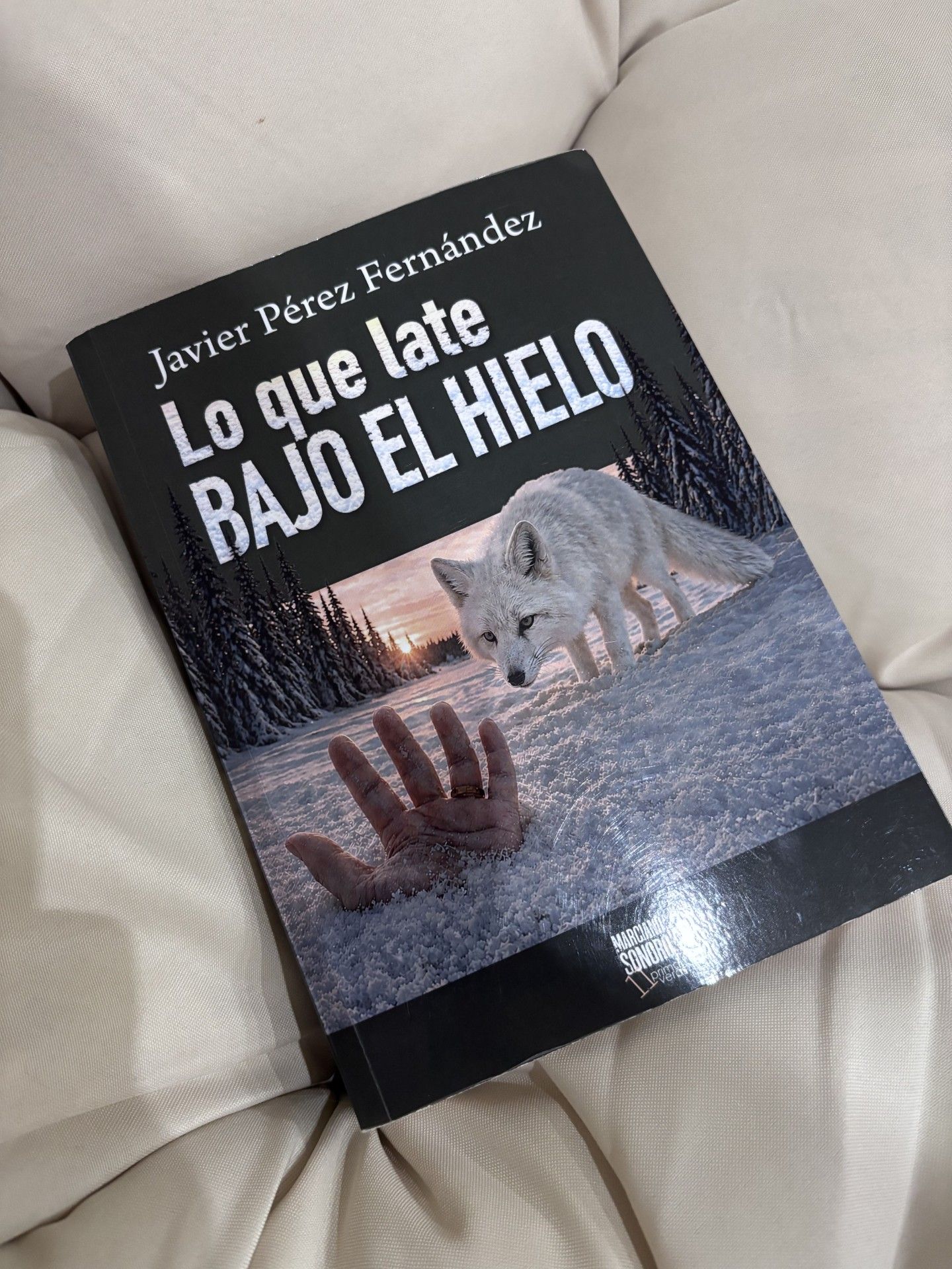 Portada del libro en la zona de lectura de Ruy.