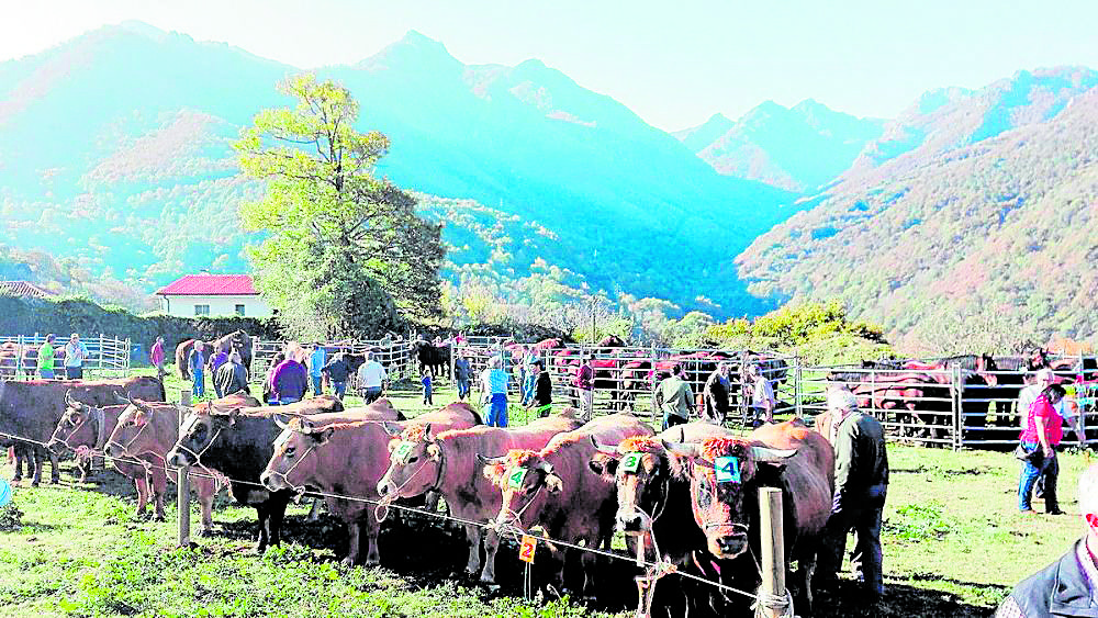 Tradición y sabores de montaña se dan cita cada octubre en el corazón de Picos de Europa.