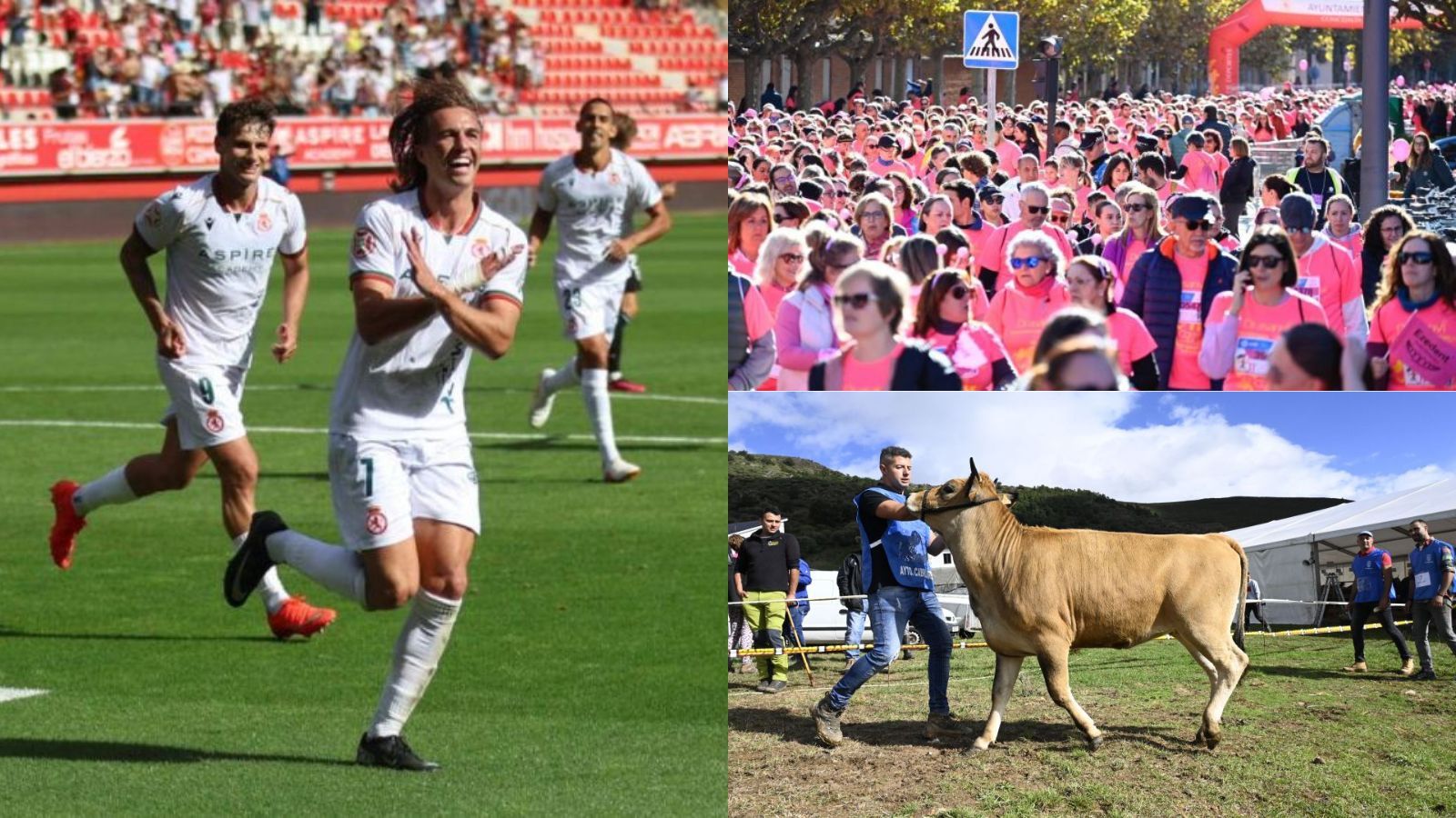 Todos los planes de los que disfrutar este fin de semana en León. | FERNANDO OTERO/ SAÚL ARÉN