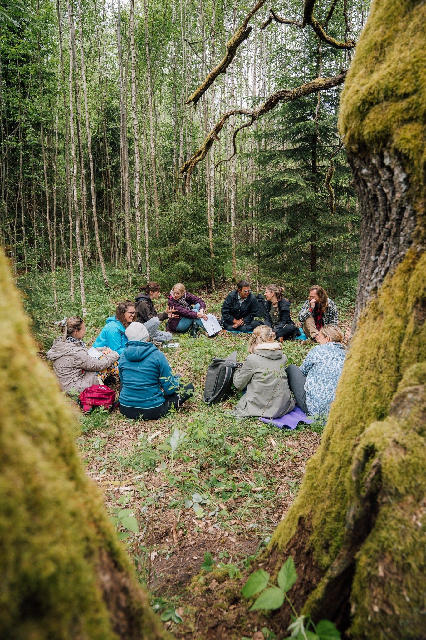 Los baños de bosque podrían ofrecer mejoras para las enfermedades mentales.  | L.N.C.