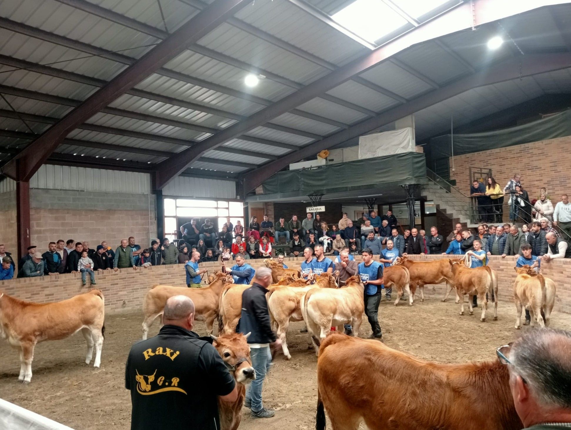 El recinto ferial de Las Rozas de Villablino acogió una nueva edición del concurso provincial. L.N.C.