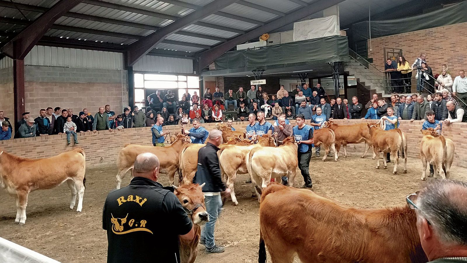 El recinto ferial de Las Rozas de Villablino acogió una nueva edición del concurso provincial