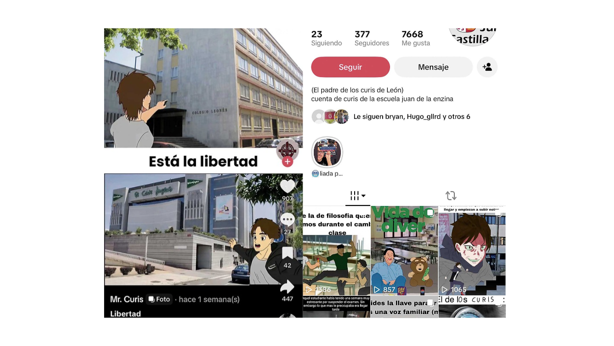 Si bien la mayoría de las cuentas tienen un tono humorístico, algunas pretenden ofender