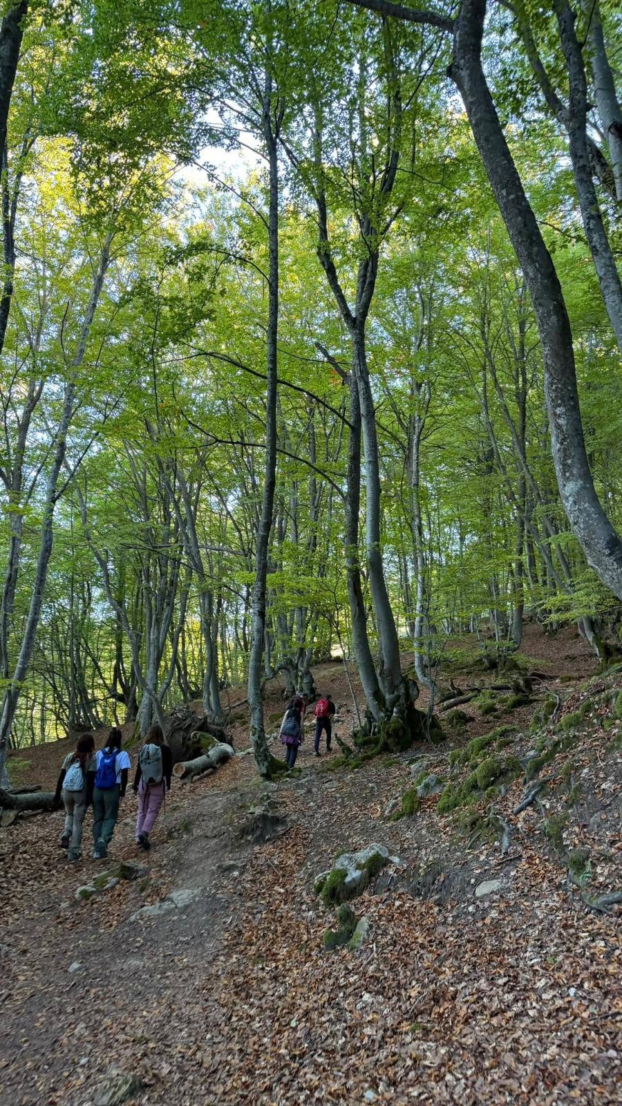 Imagen de la primera ruta celebrada ya el pasado domingo. | AYTO. MATALLANA