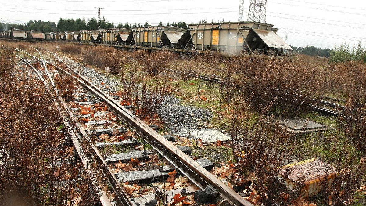 El proyecto del Ponfeblino comienza a dar sus primeros pasos. | ICAL