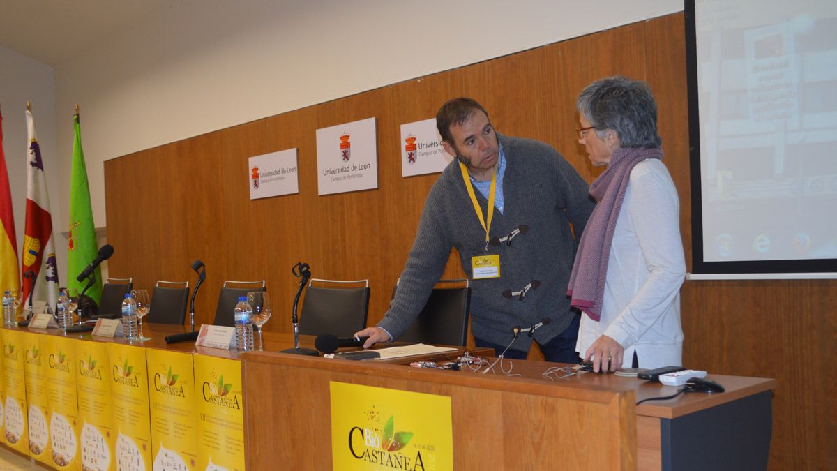 Biocastanea continúa con jornadas técnicas para poner en valor el castaño. | MAR IGLESIAS