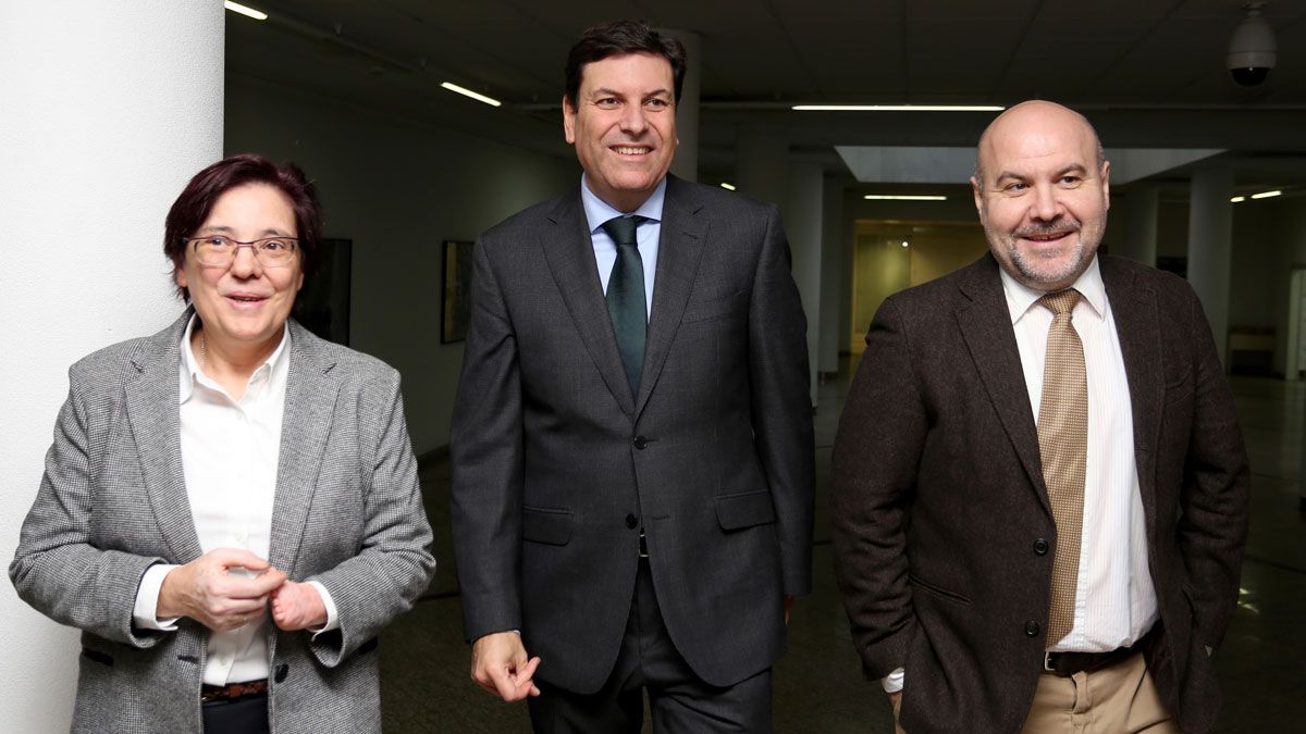 El consejero de Empleo junto a la directora gerente de Feacem, Josefa Torres; y el presidente de Cermi, Luis Cayo. | ICAL