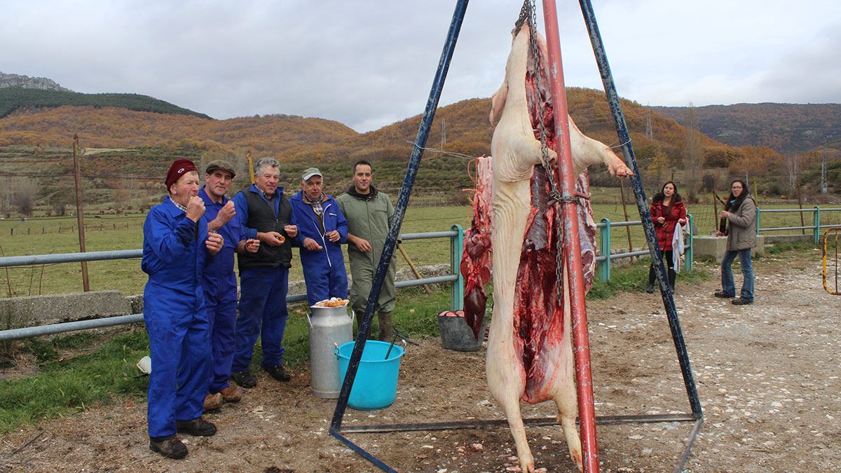 Los matarifes posan con el gocho, que pesó más de 170 kilos y que fue finalmente adjudicado por un precio de 350 euros. | ALFREDO HURTADO