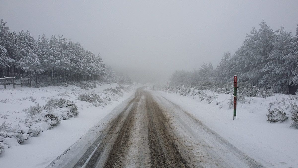 nieve22112016.jpg
