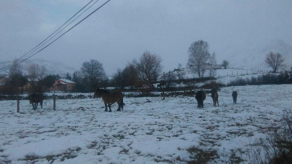 nievebabia241116.jpg