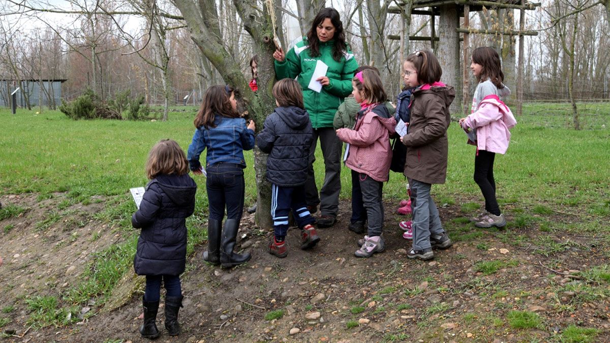 Campamentos de Navidad en el Coto Escolar. | CÉSAR