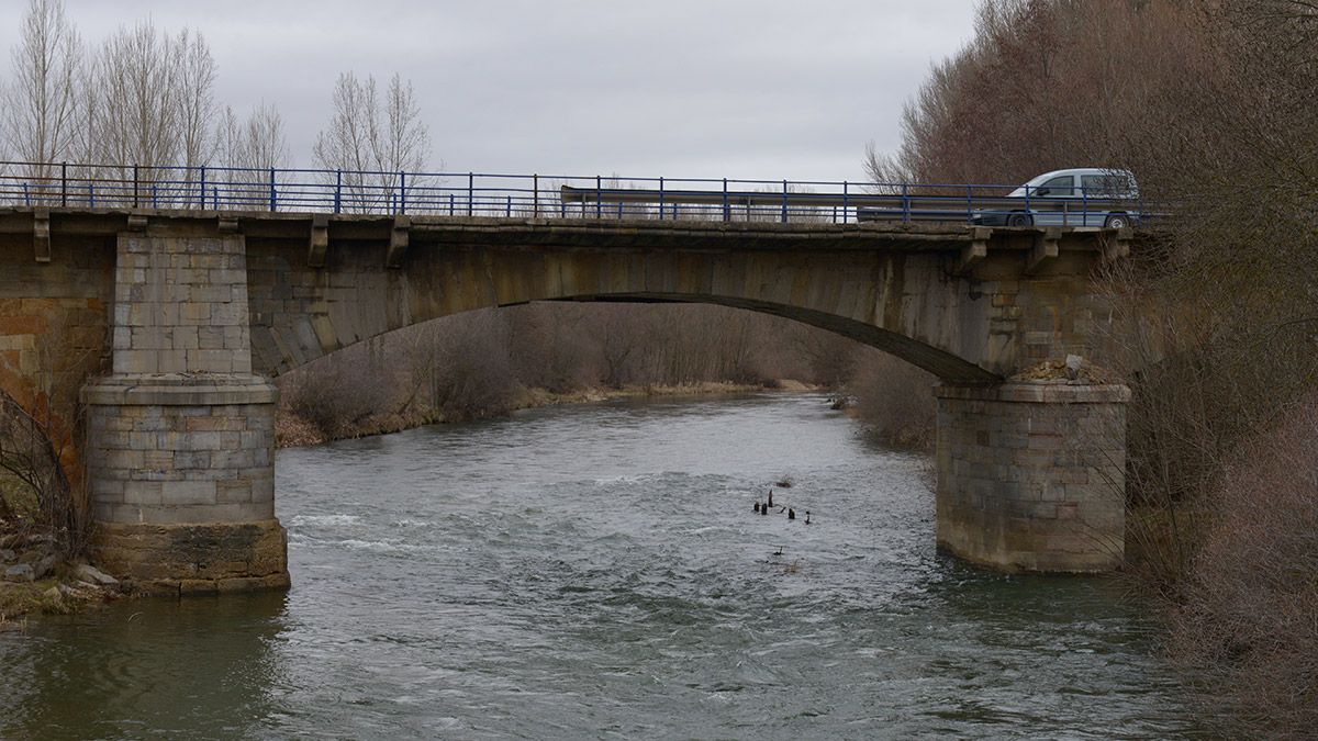 La búsqueda se centra en las inmediaciones del Porma. | MAURICIO PEÑA