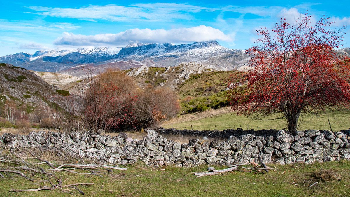 Ruta circular de la Solana