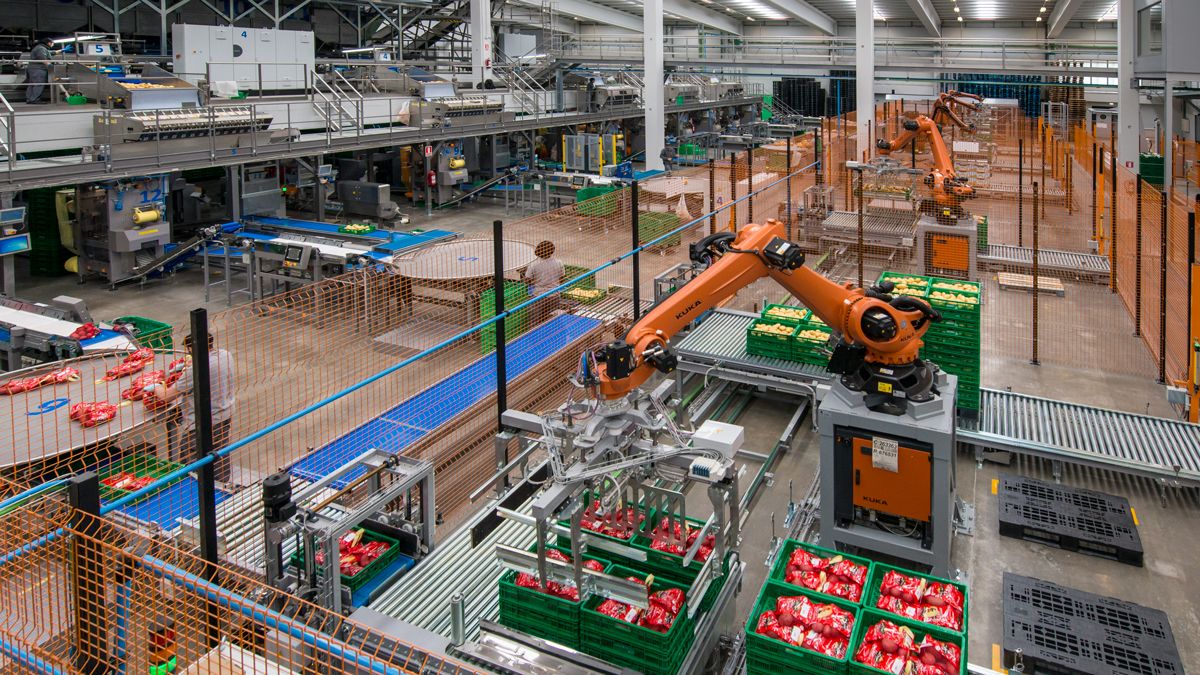 Sólo un 3% de las empresas instaladas actualmente en la provincia de León cuentan con una plantilla superior a diez trabajadores.